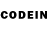 Псилоцибиновые грибы GOLDEN TEACHER adam487