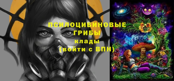 a pvp Белокуриха