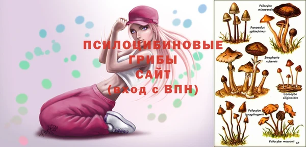 a pvp Белокуриха