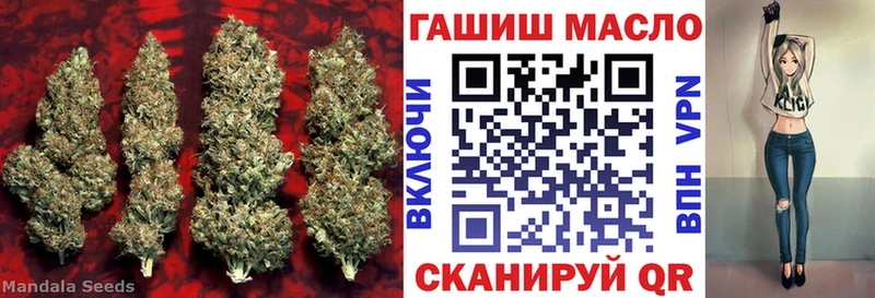 Купить закладки  Апшеронск  ТГК вейп 